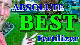 BEST Fertilizer for a BETTER GREENER LAWN!