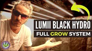 720w LUMii Black LED Hydroponic Grow Setup - Cost Breakdown