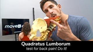 Quadratus Lumborum Test for Back Pain! Do It! -MoveU