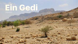 Ein Gedi (Wadi David), Israel