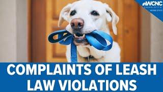 Leash laws in Charlotte