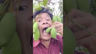 Survival: Smart SIMPLE  and USEFUL with Mango eating skills #10 #fruit #mango #eating #satisfying