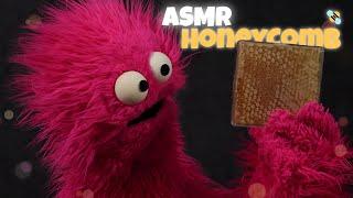 ASMR Honeycomb Eating & Story Time (Soft Spoken) 