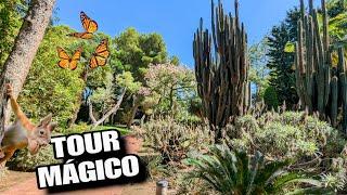 TOUR MAGICO! Descubre un JARDÍN de GIGANTES VERDES y REFLEXIONES profundas