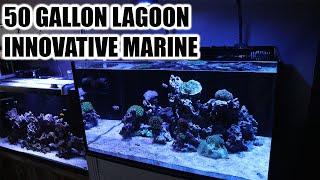 INNOVATIVE MARINE 50 GALLON LAGOON REVIEW AND OVERVIEW 2020