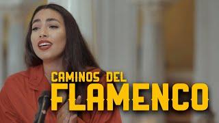 María José Llergo - Caminos del Flamenco | La2