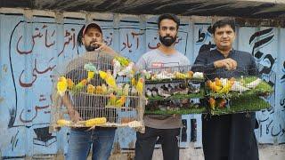 Birds Market Lalukhet Sunday Video 30-6-24 By Sohail Ahmed TV in Urdu/Hindi