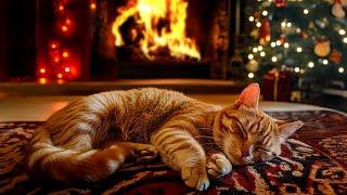 Cozy Purring Cat ASMR | Cozy Fireplace Burning & Purr Sound | Healing Insomnia