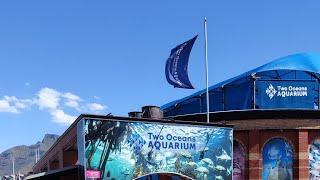 Two Oceans Aquarium in Cape Town, SouthAfrica#youtube #capetown #aquarium #southafrica#trending