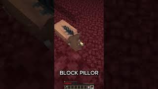 How to Get Food In Nether #minecraft #minecraftfacts #gaming