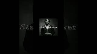 [FREE] Lil Tjay x Polo G Type Beat - "Stay Forever" #typebeat #painbeats #beats