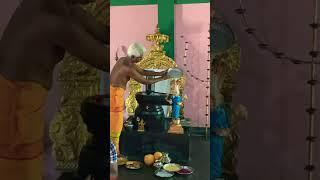 Rudra abhisheka  Shiva-Swayamvara Parvati yagya  #rudra #parvati #yagya #shiva #abhishekam #puja