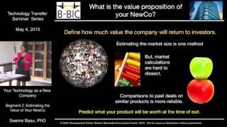 Estimating the Value of Your NewCo