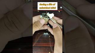 Saving a life of unhatched chick #incubator #shorts