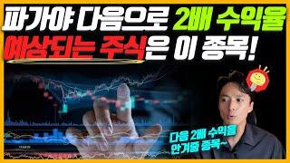 파가야 2배 수익 이후 투자 전략과 다음으로 2배 수익률이 기대되는 주식