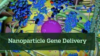 Nanoparticle Gene Delivery