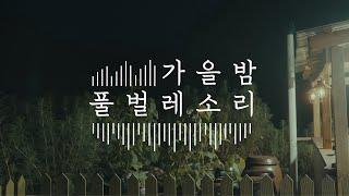 편안히 잠드는 고요한 시골 가을밤 풀벌레 소리 백색소음 귀뚜라미