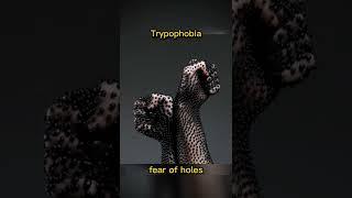 Trypophobia  #shorts #scary #trypophobia