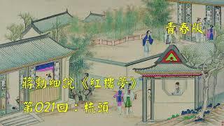 蒋勋细说红楼梦第021回：梳头（青春版）