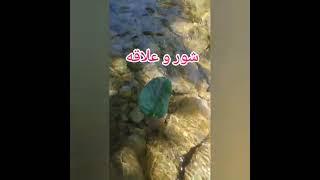 سه رکن اصلی پیشرفت