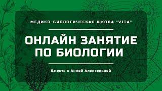 Онлайн занятие по биологии. Ископаемые морские обитатели