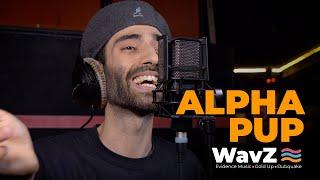 Alpha Pup - Freestyle 2 | WavZ Session [Evidence Music & Dubquake & OBF]