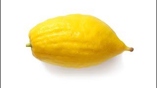 Etrog: Rededicating Our Hearts to Hashem