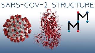 SARS-CoV-2 Structure (COVID-19 Coronavirus)