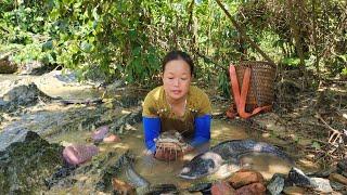 Harvest the giant fish when the rain stops and take them to market to sell | Lý Thị Phương