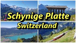 Schynige Platte, Switzerland | Best walk in Switzerland