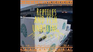 MEGA Unboxing – Fish, Reptiles AND Supplies!