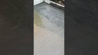 Flexogum Choksey ROOF Waterproofing WORK #shortfeed #shorts #waterproofing #rooftop #asb#Choksey