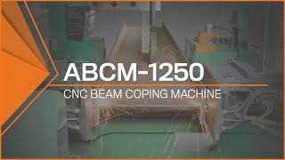 ABCM-1250 CNC Beam Coping Machine (Triple Torch Oxy-fuel Coper)