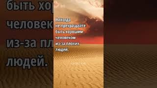 Мудрость слова  Цитаты со смыслом! Правда жизни 