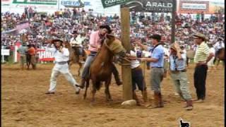 28º Rodeio de Vacaria - Gineteada