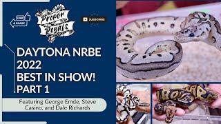 Daytona Best in Show - BALL PYTHONS - NRBE 2022 - Part 1