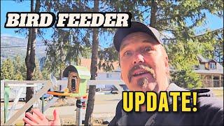 Vinguys Bird Feeder Update - Nutatch