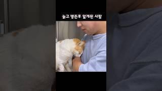 다시 혼자될까 두려운 고양이