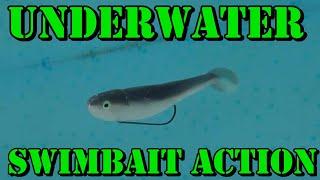 The TRUTH About My FAVORITE Brands | Underwater Swimbait Testing