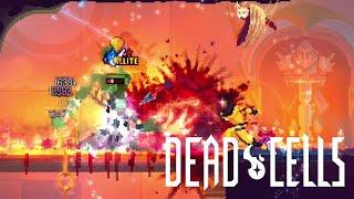 Dead Cells stream - Most Powerful Build Redux
