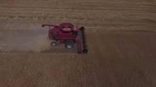 Aerial footage over Scott Van Allen's wheat field