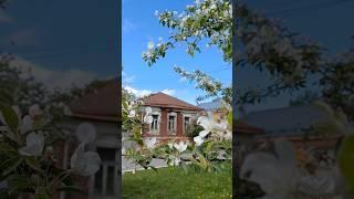 Прекрасные деревянные дома #деревня #старина #подмосковье