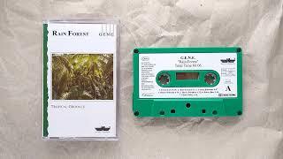 G.E.N.E. ~ Rain Forest (1993) • [cs rip] • [ambient / new age / fourth world]