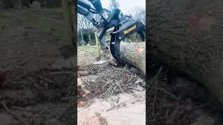 Vermeer S925TX Mini Skid Steer Loader and Log Grapple