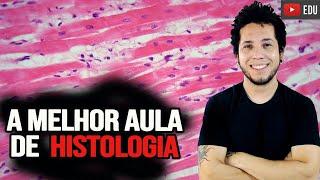 Tecido Muscular e Nervoso - A AULA MAIS COMPLETA DE HISTOLOGIA DO YOUTUBE