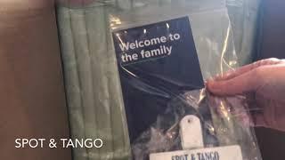 Spot & Tango Unboxing by MealFinds