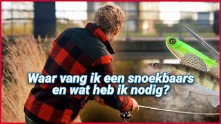 Waar vang je een snoekbaars. En waar moet je op letten!