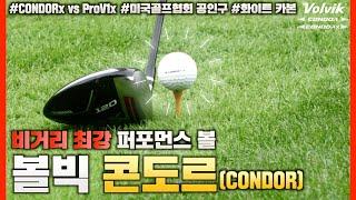 [응모 완료] 비거리 최강 퍼포먼스 볼, Volvik 콘도르(CONDOR) 리뷰