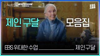 [100일 챌린지][EBS 위대한 수업, 그레이트 마인즈] 제인 구달(Jane Goodall) - 나의 이야기 | 제인구달 강의 모음.zip