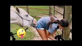 "Best Funny Videos Compilation - Cute and Fails  Human Beings Being Silly"